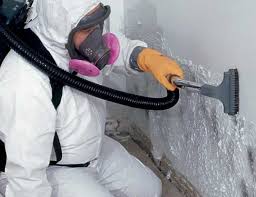 Best Asbestos and Lead Testing During Mold Inspection  in Orchard Homes, MT